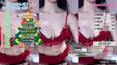 2024-12-24_18-35-47 - rud9281--seg1 - BJ 한갱_