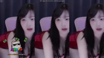 2025-03-09_05-34-28 - ddodohee - BJ 소금[♥]