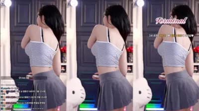 2025-04-01_03-15-53 - golaniyule0--seg2 - BJ 고라니율