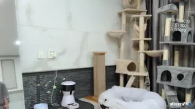 KBJ 쑤지 tnwl9630 25-05-23 (49) - BJ 쑤지