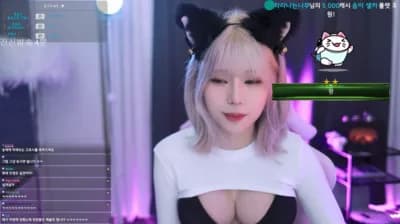 KBJ 27 - BJ Big Collection